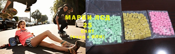 прущие грибы Алзамай