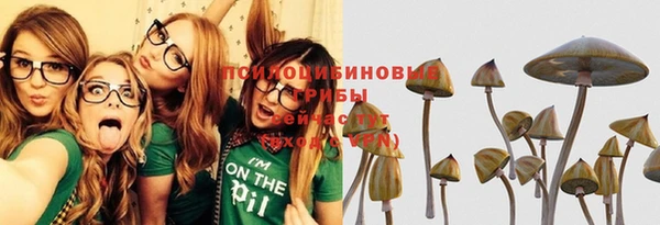 кокс Алексин