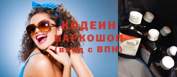 прущие грибы Алзамай