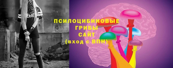 прущие грибы Алзамай