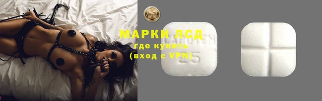 кокс Алексин