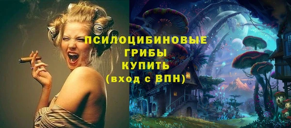 кокс Алексин