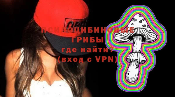 прущие грибы Абинск