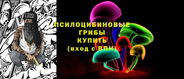 прущие грибы Алзамай
