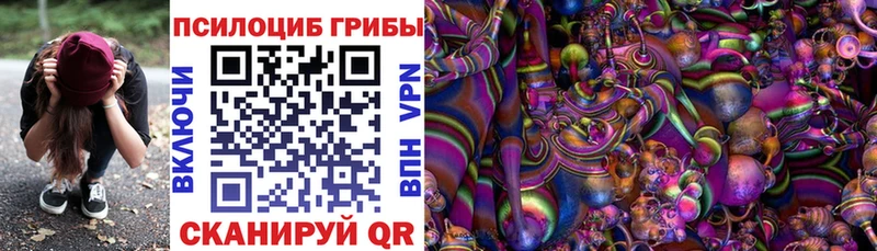 Псилоцибиновые грибы GOLDEN TEACHER  mega ссылка  Пудож  где купить наркоту 